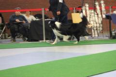 IMG_1284