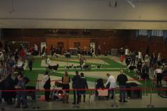 IMG_1387