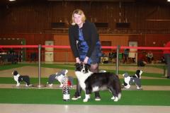 Tagessieger-Best-in-Show