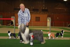 Tagessieger-Best-inn-Show