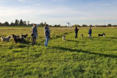 20211009_163708-scaled