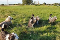 20211009_163738-scaled