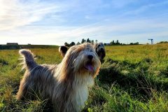 20211009_163750-scaled