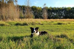 20211009_163814-scaled