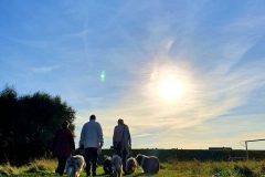 20211009_164219-scaled