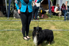 IMG-20250529-WA0012