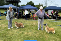 IMG-20250529-WA0019