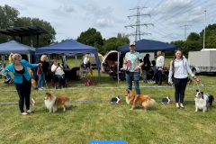 IMG-20250529-WA0020