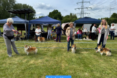 IMG-20250529-WA0023