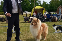 IMG-20250529-WA0077