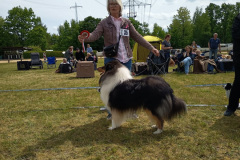 IMG-20250529-WA0106