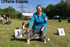2024-05-09-WCC-2