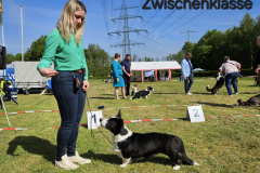2024-05-09-WCC-4