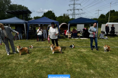 IMG-20250529-WA0014