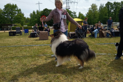 IMG-20250529-WA0106