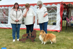 Messenger_creation_54B86E84-BD91-40B6-95FD-CC690FD0EBBC