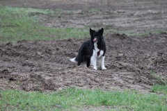 IMG_1077