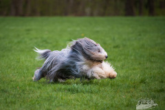 20240407-111520-OejendorfSee-2