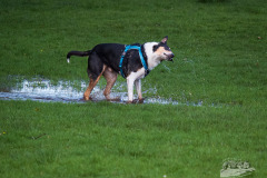 20240407-112255-OejendorfSee