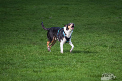 20240407-112302-OejendorfSee