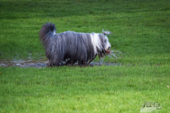 20240407-112336-OejendorfSee