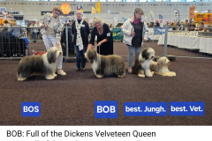 Screenshot_20251004_170054_Facebook