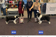 Screenshot_20251004_170057_Facebook