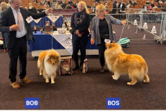 Screenshot_20251004_170103_Facebook