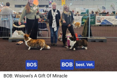 Screenshot_20251004_170107_Facebook