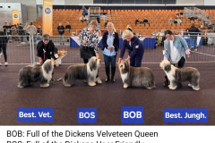 Screenshot_20251005_232735_Facebook