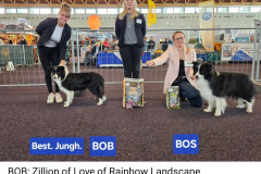 Screenshot_20251005_232745_Facebook