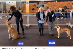 Screenshot_20251005_232750_Facebook