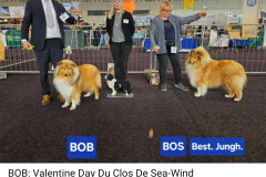 Screenshot_20251005_232755_Facebook