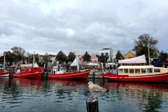 20211016_143706-scaled