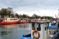 20211016_144055-scaled