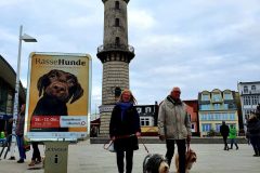 20211016_164825-scaled