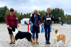 FB_IMG_1635021091770