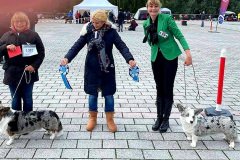 FB_IMG_1635021233687