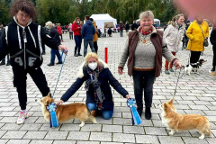 FB_IMG_1635021254914