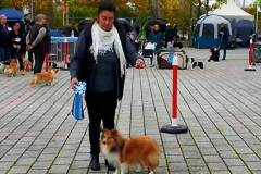 FB_IMG_1635021457784