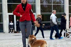 received_430937002065218