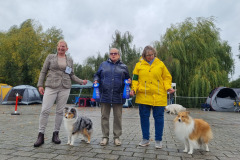 Shelties