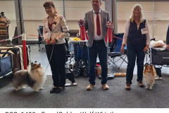 Screenshot_20231018_222042_Facebook