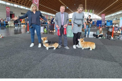 Screenshot_20231018_222046_Facebook