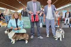 Screenshot_20231018_222049_Facebook