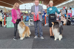 Screenshot_20231018_222103_Facebook