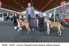 Screenshot_20231018_222107_Facebook