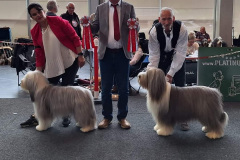 Screenshot_20231018_222110_Facebook