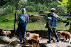 Messenger_creation_4883e67c-8508-42b6-84c3-e9ad480386fb