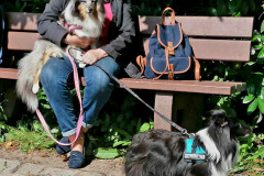 Messenger_creation_c96086f6-5537-47ea-a50e-4c82e2afad9e